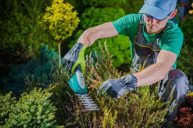landscaping services Slidell